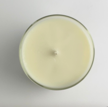 Load image into Gallery viewer, Top of The Urban Scent Baja Cactus Scented Soy Wax Candle
