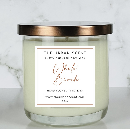 Winter Whispers: 17 Enchanting Scents to Embrace the Season